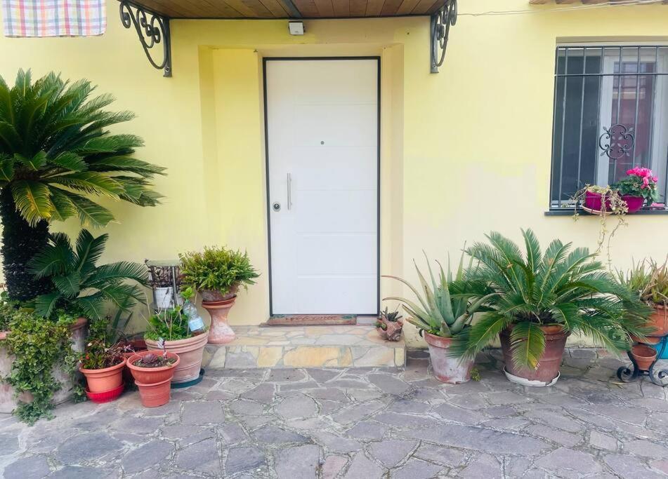 Giorgio'S Apartment Pisa Fiocina المظهر الخارجي الصورة